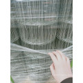 Dalvanized  welded  wire  mesh  for  fence  panel premium grade